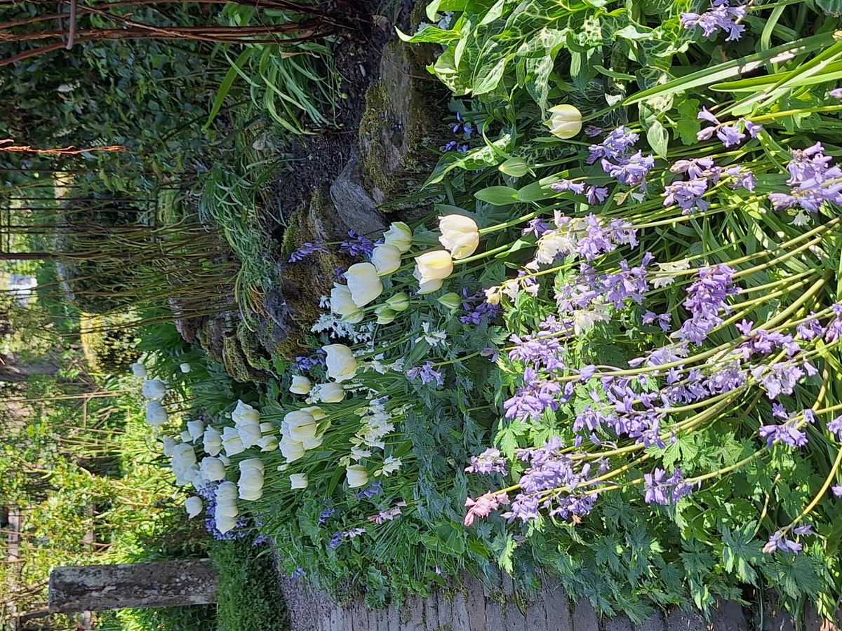 Frühling